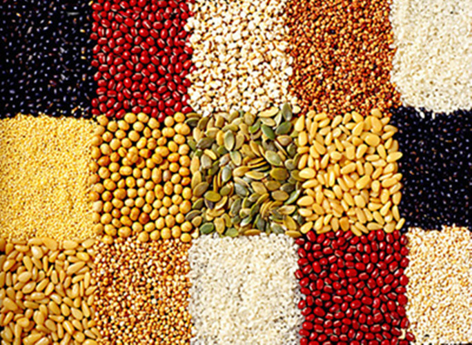 优质农副产品批发 高清细节图鉴，品质触手可及